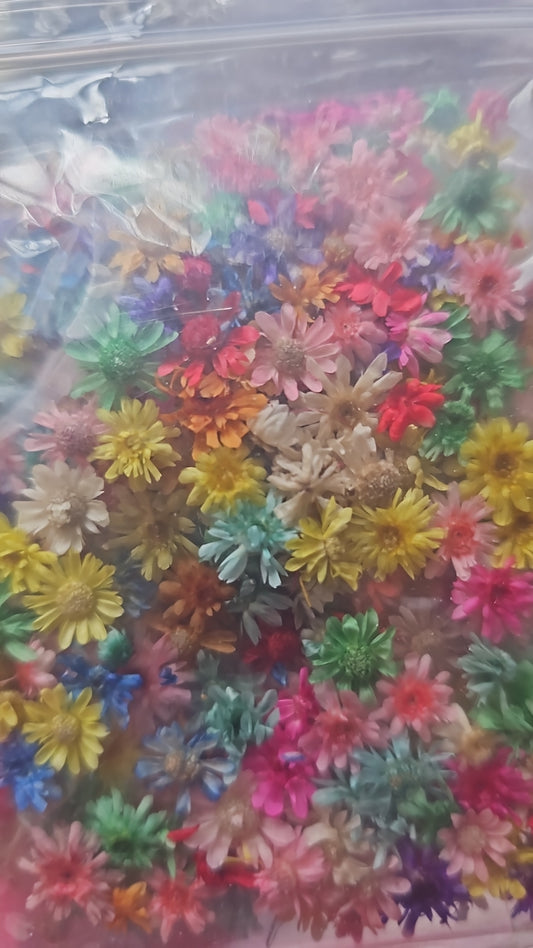 Aquarium/Beach/Decorative Lids/Crystals/Extras